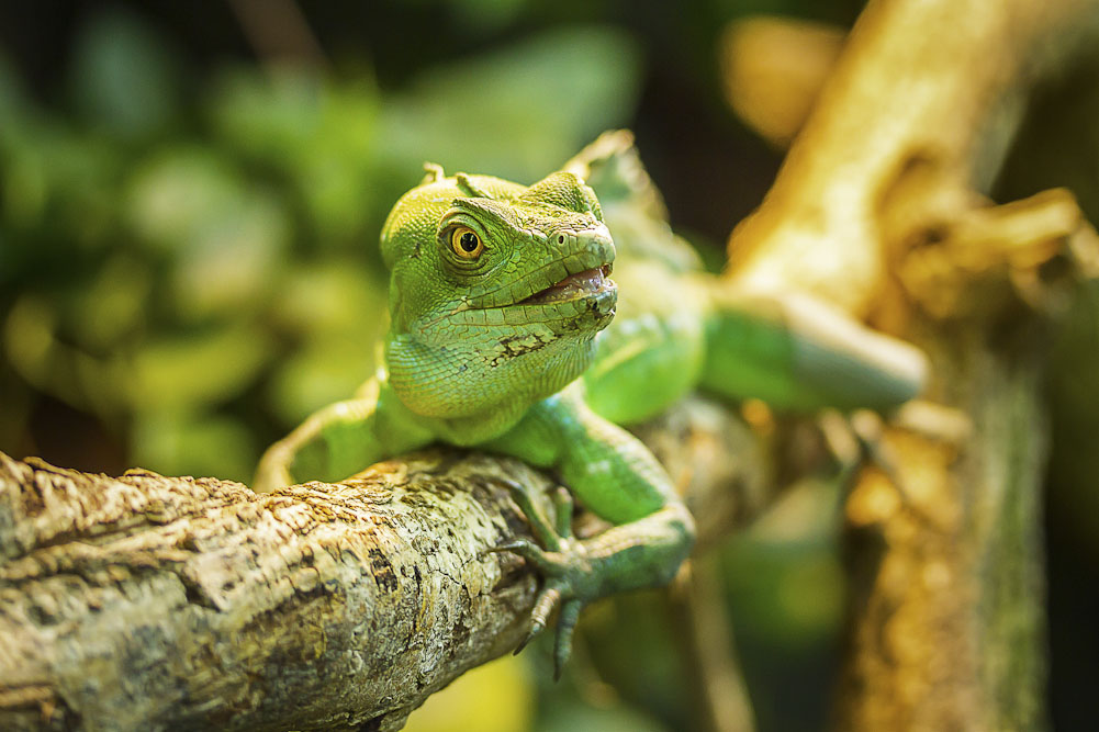 9. Platz Christoph Csokas